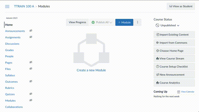 Illustration of adding tool to course nav
