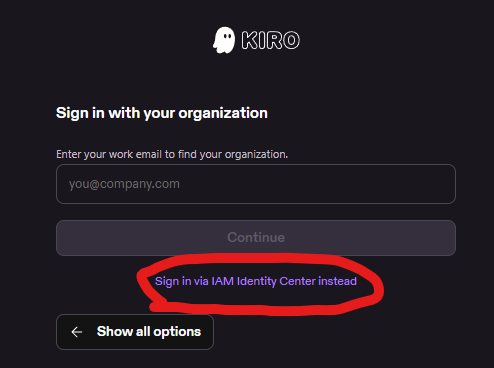 Screenshot showing to select sign in with IAM identity center